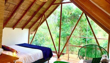 A room with a bed, a chair, and a view of greenery outside.