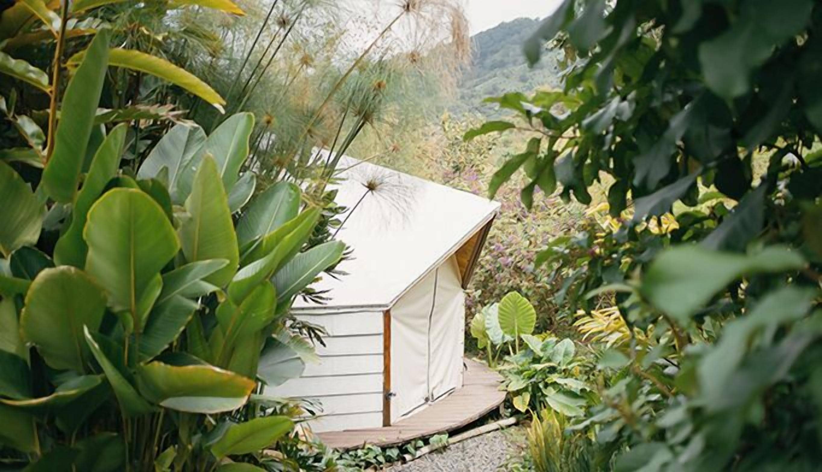 Una estructura petita i blanca, de forma semblant a una tenda, envoltada de vegetació exuberanta.