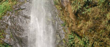 A waterfall cascading down a rocky cliff with lush greenery around.
