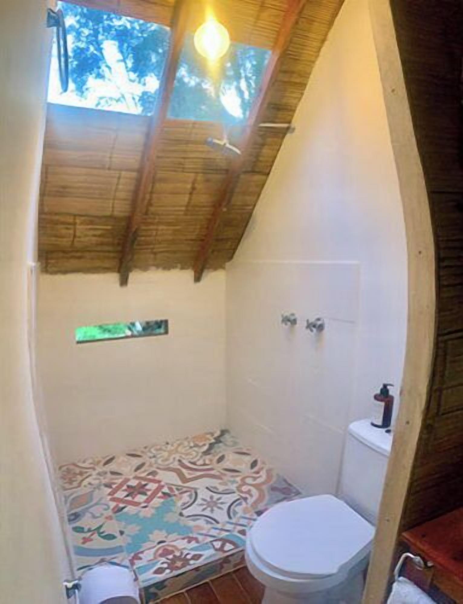 A small, compact bathroom with a shower, toilet, and a skylight.