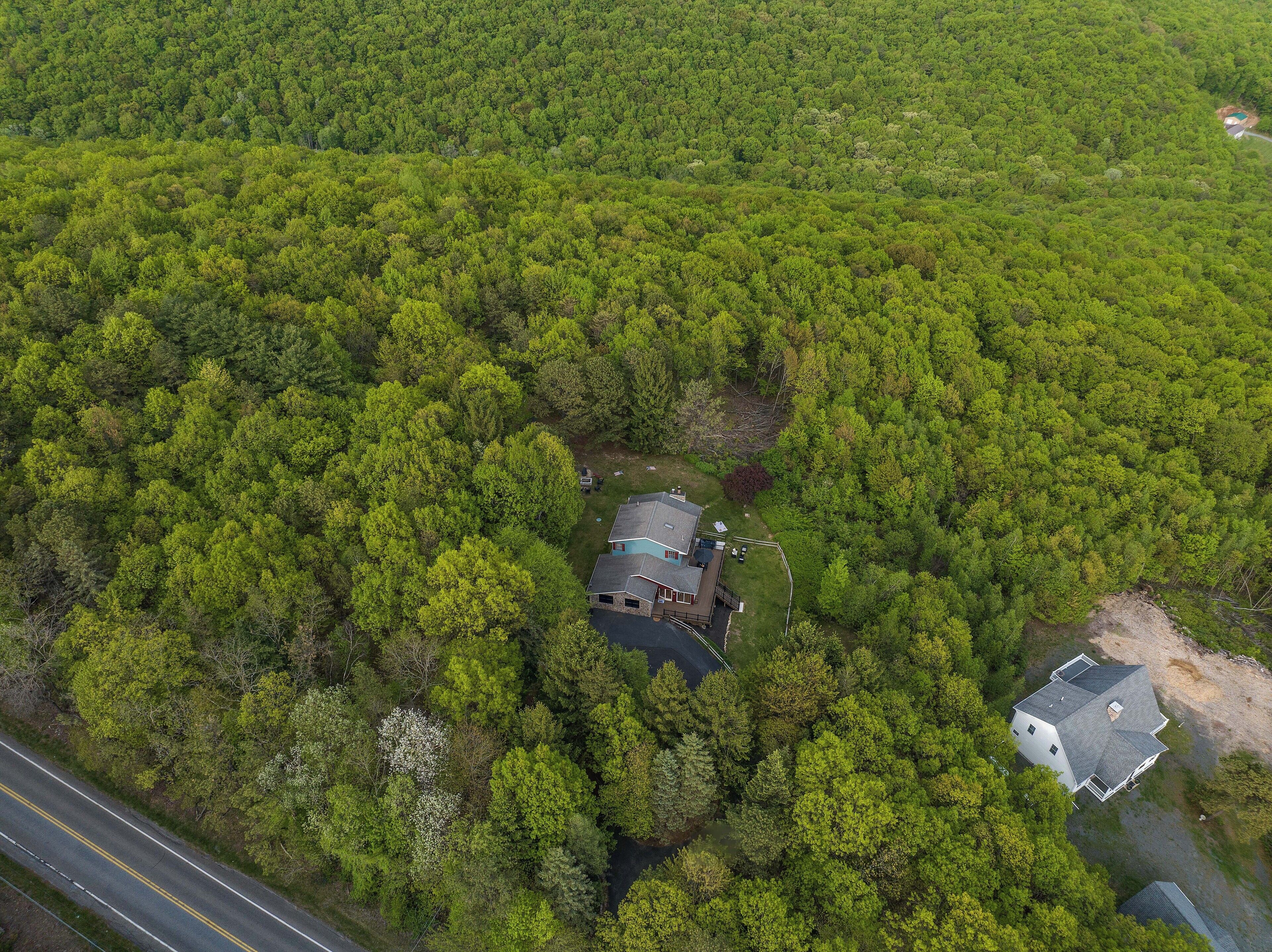An aerial view of a forested area with a house surrounded by dense trees.