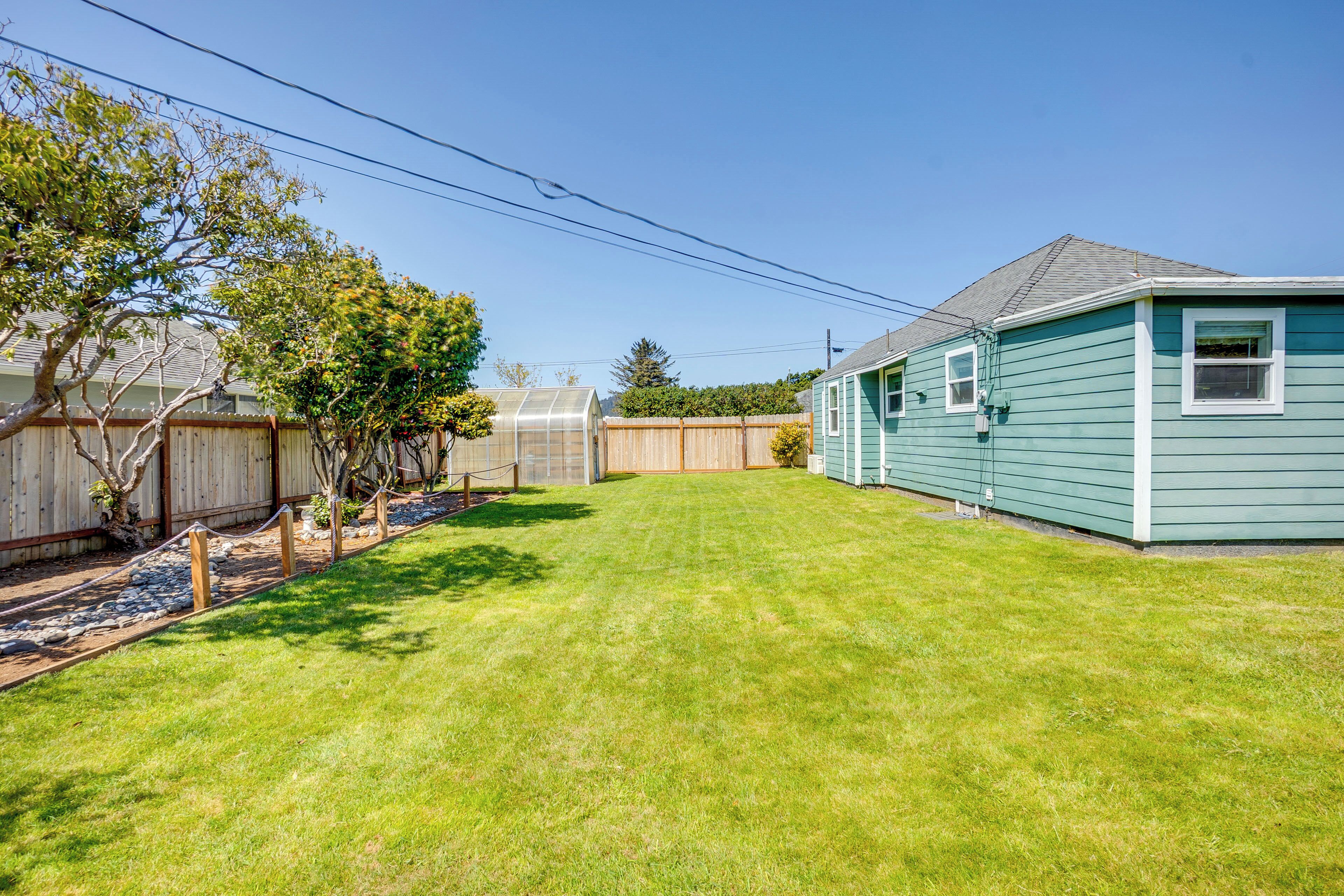 A backyard with a green house, a wooden fence, and a tree.
