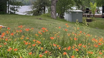Jardines del alojamiento
