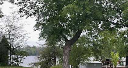 Ultimate Lake Escape: 3-Bed Family Cottage with Bunks, Sleeps 8!