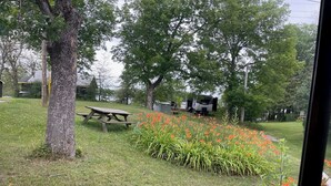Een gazon met een picknicktafel en een rij oranje bloemen.