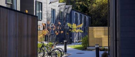 المنطقة المحيطة بالمنشأة