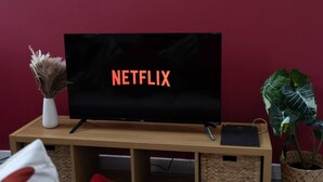 A television on a wooden stand with the Netflix logo on the screen, a white vase with dried plants, and a large green plant in a basket.