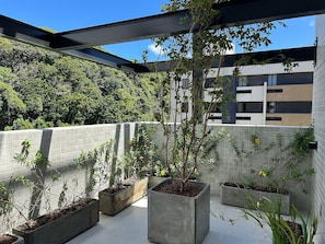 Un jardín en la azotea con plantas en macetas y vistas a un edificio moderno.