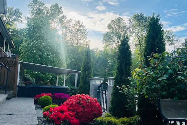 Outdoor patio/garden