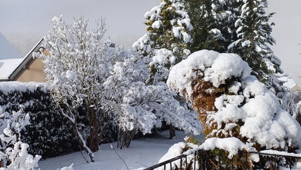 A snow-covered garden with a potted plant, a metal railing, and a snow-laden tree. - Authentic family home, 5 minutes from Saint-Lary-Soulan (Guchan)