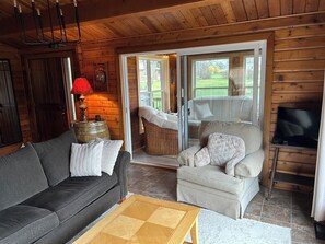 TV, fireplace, books