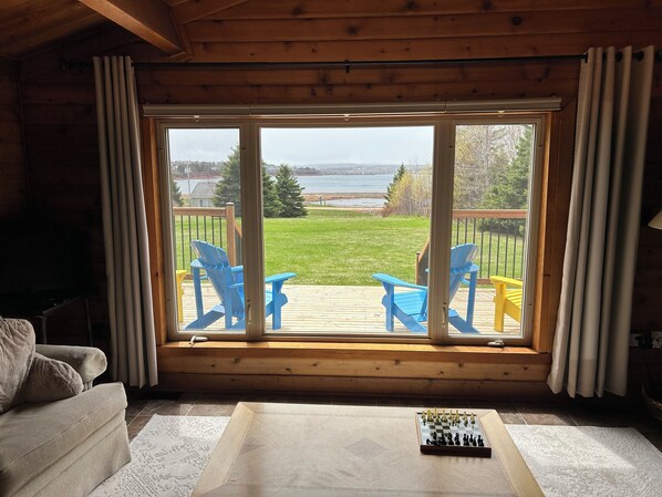 TV, fireplace, books