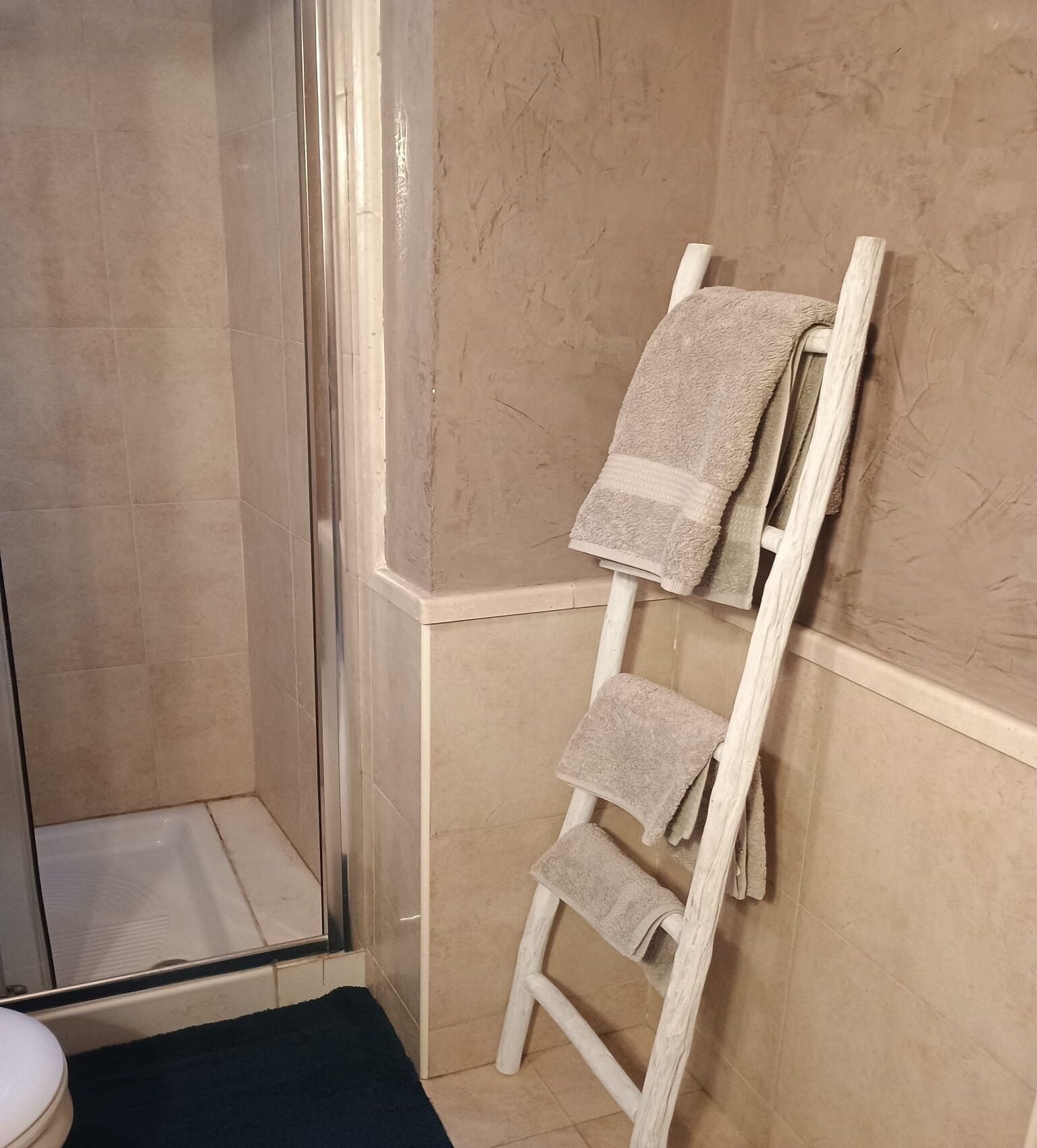 Hair dryer, bidet, towels, soap
