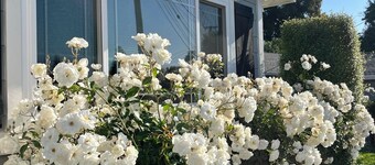 Montreal manor-beautiful and spacious home in Concord