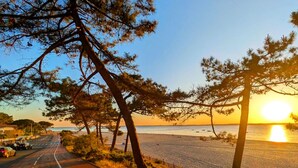 Beach - Cosy apartment in the heart of the Bassin d'Arcachon (Gujan-Mestras)