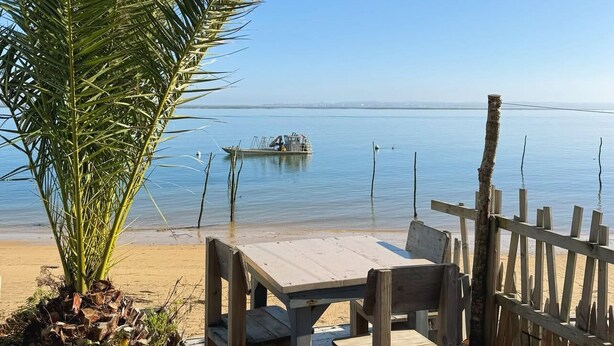 Outdoor dining - Cosy apartment in the heart of the Bassin d'Arcachon (Gujan-Mestras)