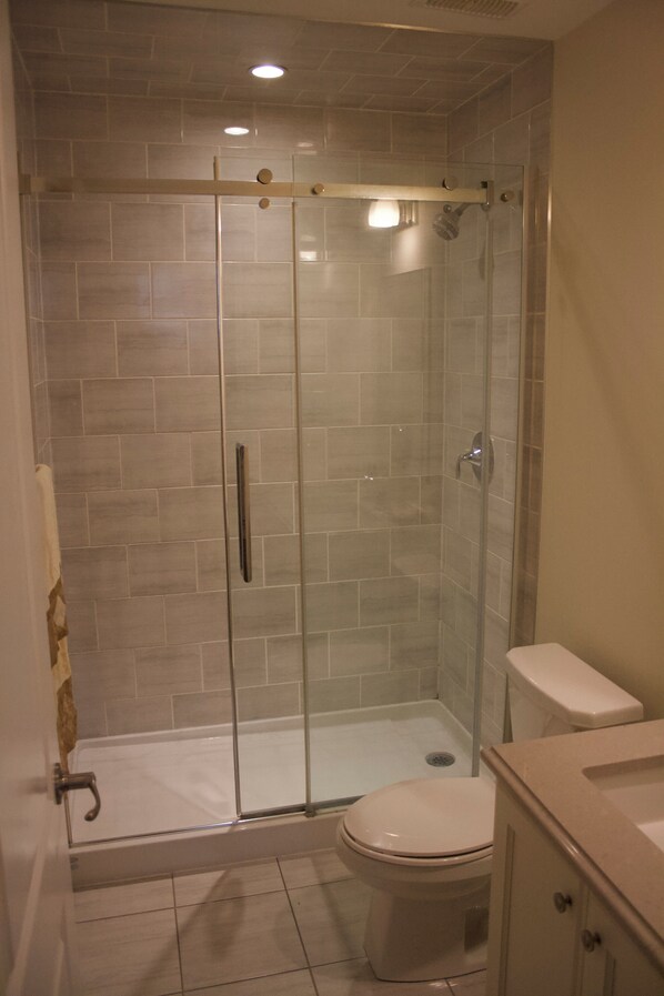 Hair dryer, towels, soap, toilet paper