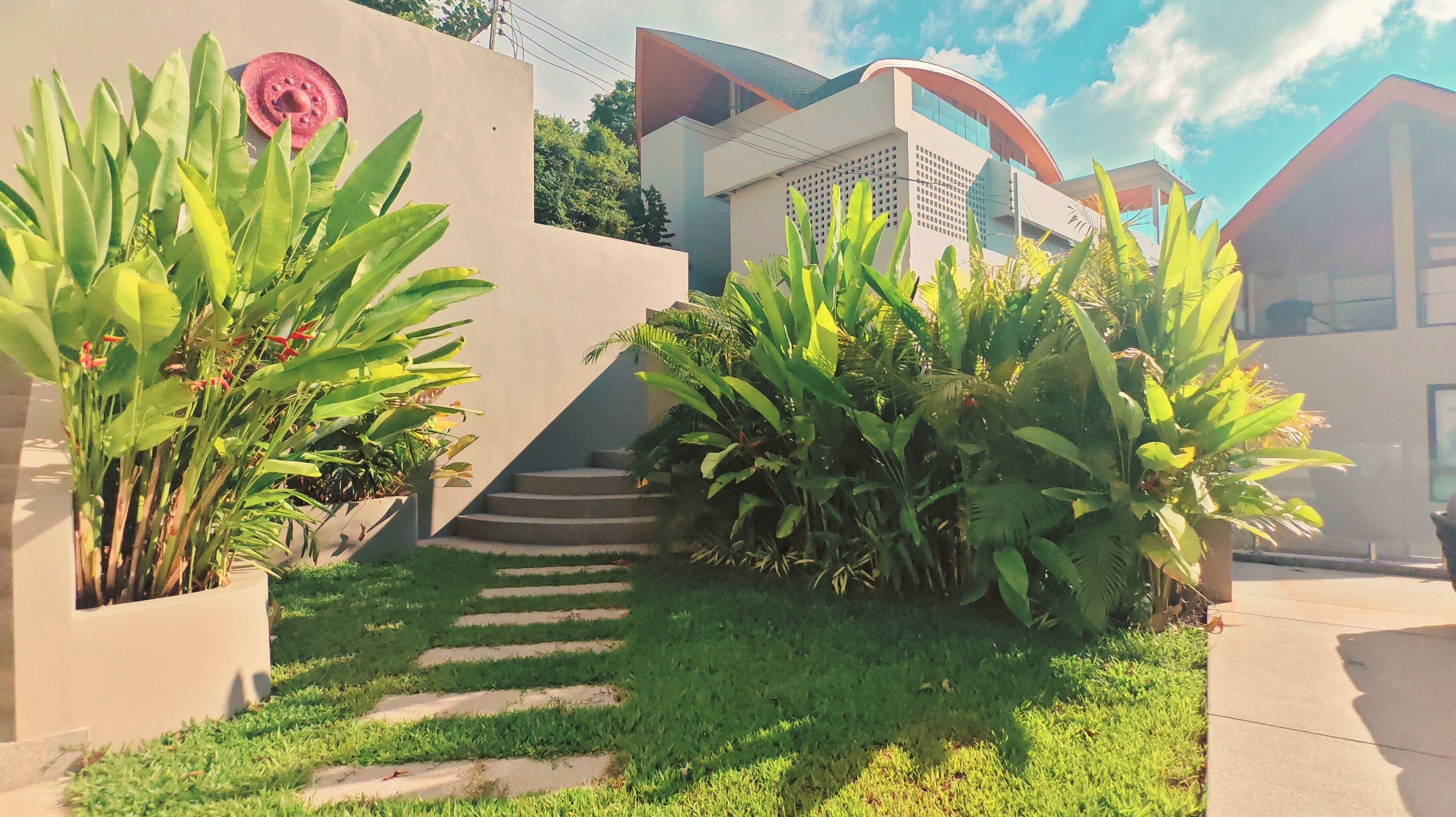 A modern building with a staircase leading to a covered area, surrounded by lush greenery and a well-maintained lawn.