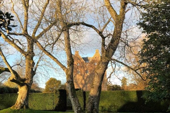 A tree with a castle-like structure built into its trunk. - Spedlins Castle – A Magical Escape in the Scottish Countryside (Templand)