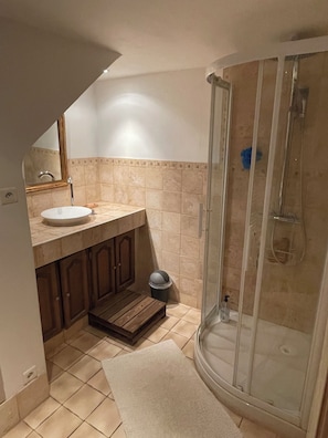 Shower, towels, toilet paper