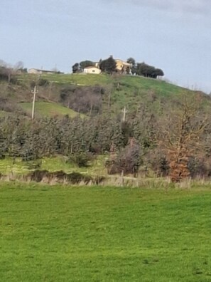 Miscellaneous - Vacation home Corrado (Capalbio)