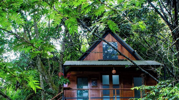 A wooden cabin with a staircase leading up to a deck, surrounded by lush greenery. - Hostal Caño Nevera (La Macarena)