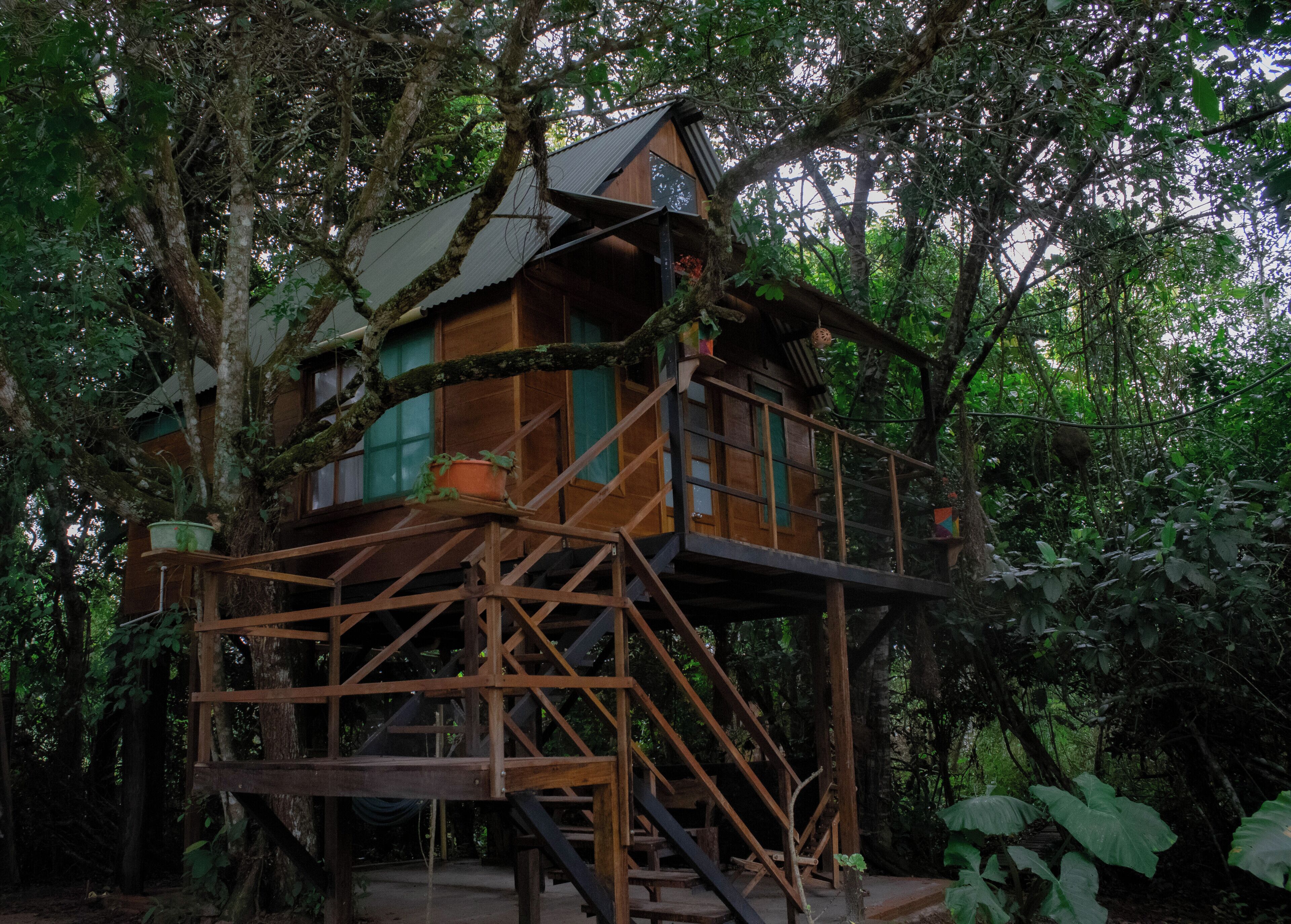 Deluxe Suite, Garden View | Free WiFi