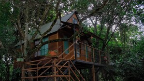 A wooden treehouse with a staircase, surrounded by dense forest. - Hostal Caño Nevera (La Macarena)