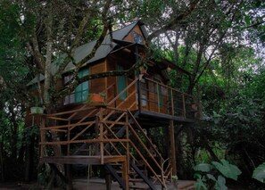 Deluxe Suite, Garden View | Free WiFi