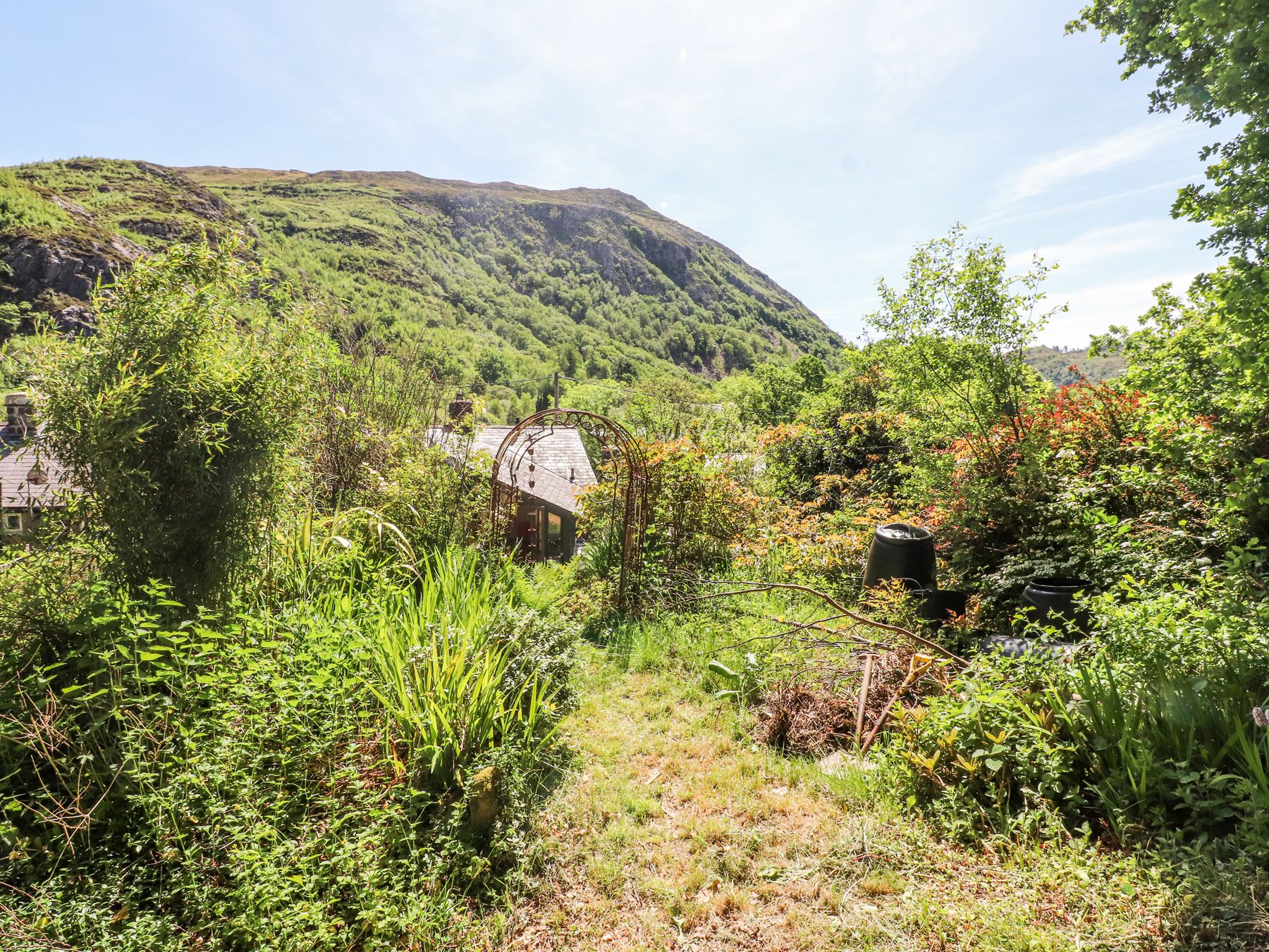 Paisagem rural com uma casa rodeada por vegetação densa e uma montanha ao fundo.