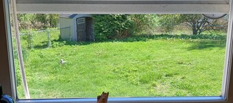 Waterfront 3-bedroom w Firepit, Game Room, ~1 mile to Foxwoods, Great Wolf Lodge