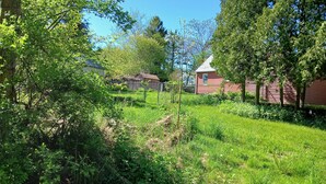 Paisaje rural con una casa de madera roja, rodeada de abundante vegetación y árboles.
