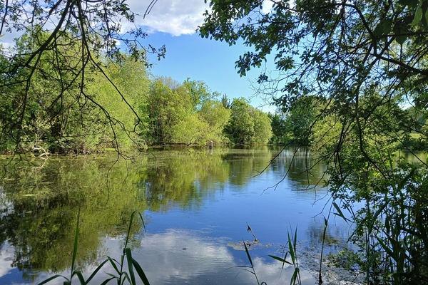 The private small lake/big pond in our backyard