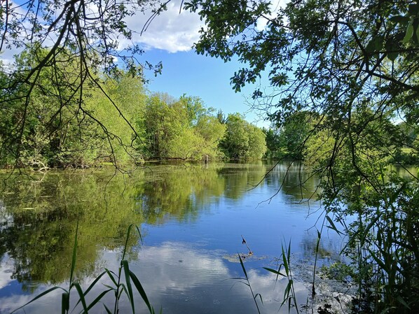 Un río tranquilo rodeado de abundante vegetación y árboles que se reflejan en el agua.