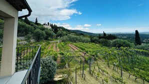 A vineyard with rows of grapevines, a stone wall, and a view of distant hills and a clear blue sky. - Bellevue Spéra (Spéracèdes)