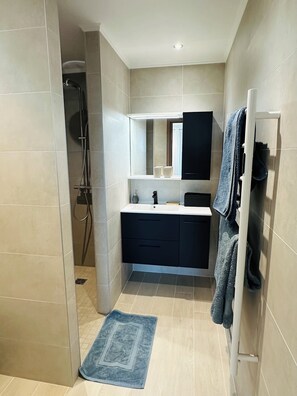 Shower, hair dryer, towels