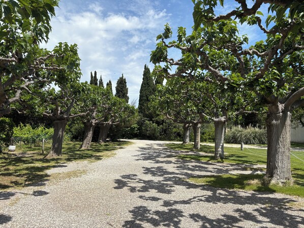 Property grounds - Holiday home in a quiet private park in Valras-Plage (Sérignan)