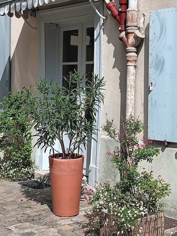 Exterior detail