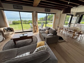 TV, fireplace, DVD player, books