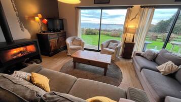 Télévision, cheminée, lecteur de DVD, livres