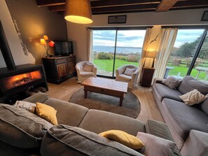 TV, fireplace, DVD player, books