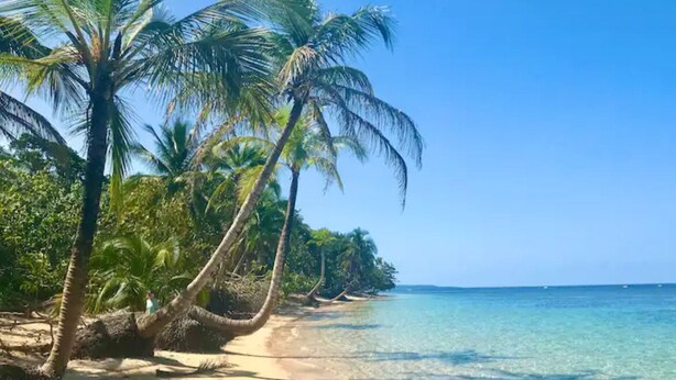 Una playa con agua turquesa cristalina, palmeras y una orilla arenosa.