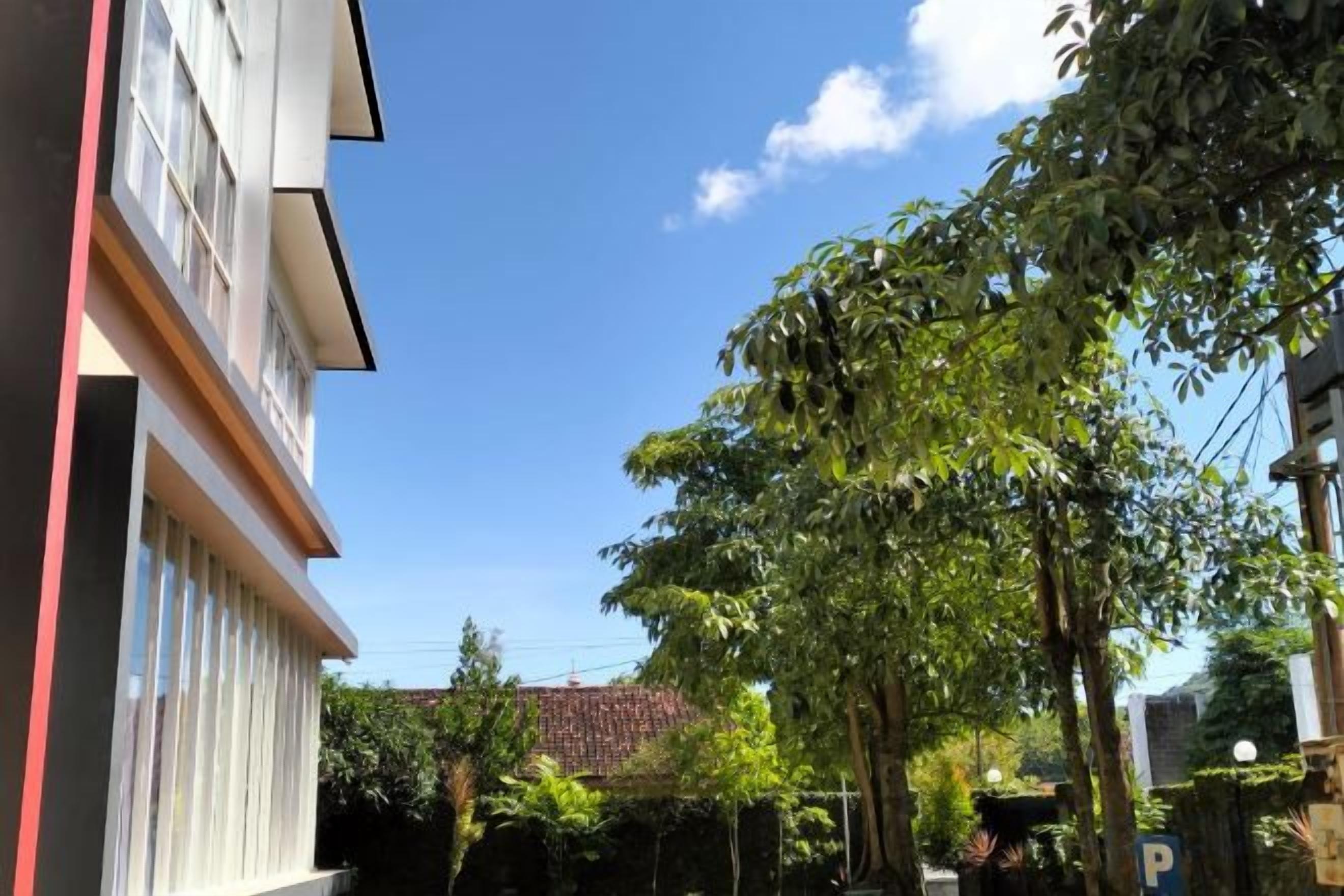 A narrow street with buildings on one side and trees on the other.