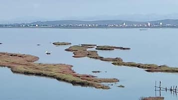 House | Miscellaneous