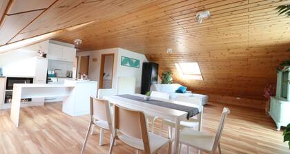 Tranquil 3-bedroom apartment with WiFi in Schöllkrippen