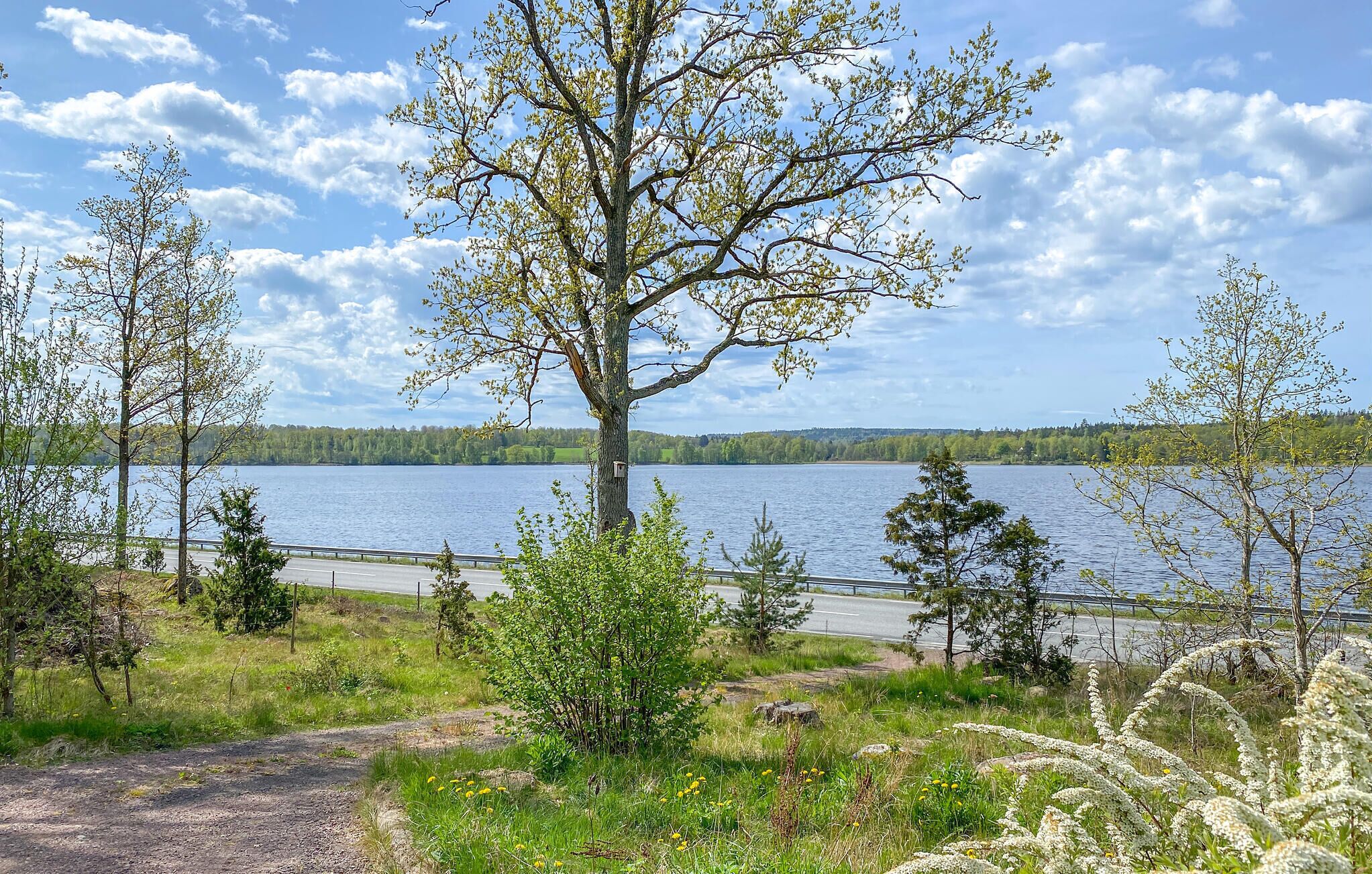 A lakeside view with a road, trees, and a clear sky.