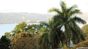 A coastal landscape with a palm tree, stone walls, and a view of the sea and distant hills. - MoBay Life (Montego Bay)
