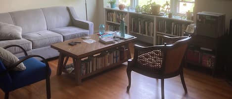 Télévision, cheminée, livres, médiathèque