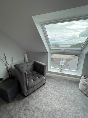 تلفزيون ذكي، مشغل دي في دي، ستيريو