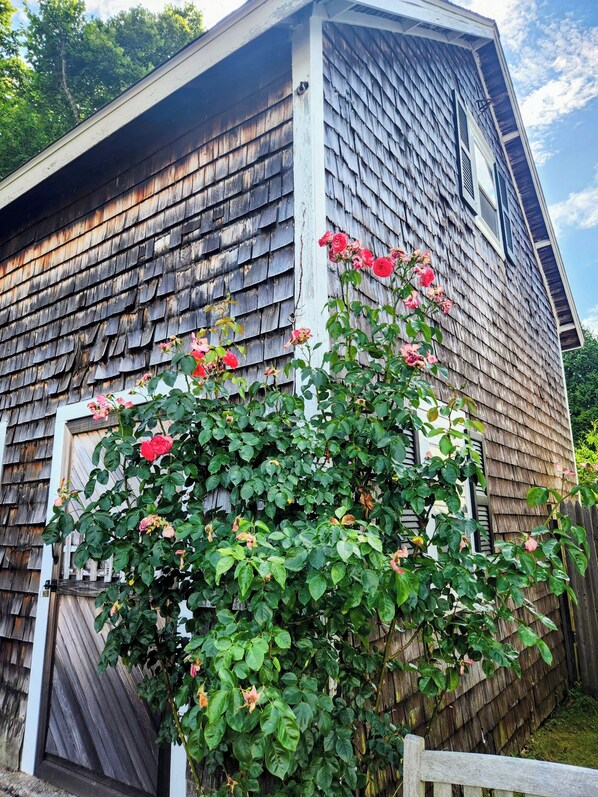 Une maison de campagne en bois, avec un revêtement extérieur en bardeaux, une porte blanche et un petit rosier devant.